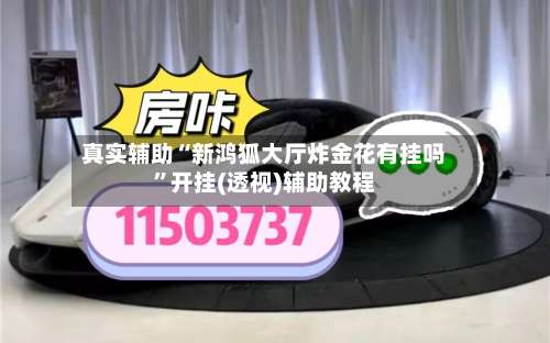 真实辅助“新鸿狐大厅炸金花有挂吗”开挂(透视)辅助教程-第1张图片