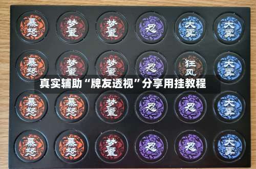 真实辅助“牌友透视”分享用挂教程-第1张图片