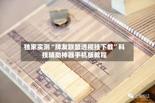 独家实测“牌友联盟透视挂下载”科技辅助神器手机版教程-第1张图片