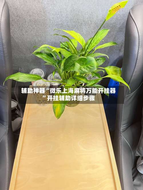 辅助神器“微乐上海麻将万能开挂器	”开挂辅助详细步骤-第1张图片