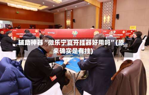 辅助神器“微乐宁夏开挂器好用吗”(原来确实是有挂)-第2张图片