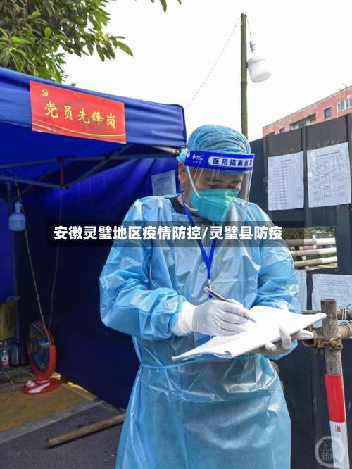 安徽灵璧地区疫情防控/灵璧县防疫-第2张图片