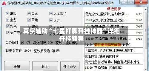 真实辅助“七星打牌开挂神器”详细开挂教程-第1张图片