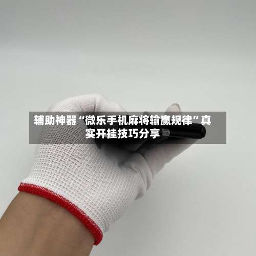 辅助神器“微乐手机麻将输赢规律”真实开挂技巧分享-第2张图片