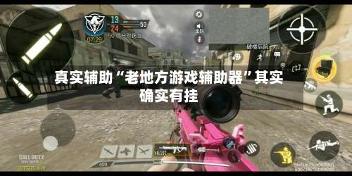 真实辅助“老地方游戏辅助器	”其实确实有挂-第1张图片