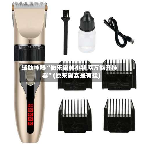 辅助神器“微乐麻将小程序万能开挂器”(原来确实是有挂)-第1张图片