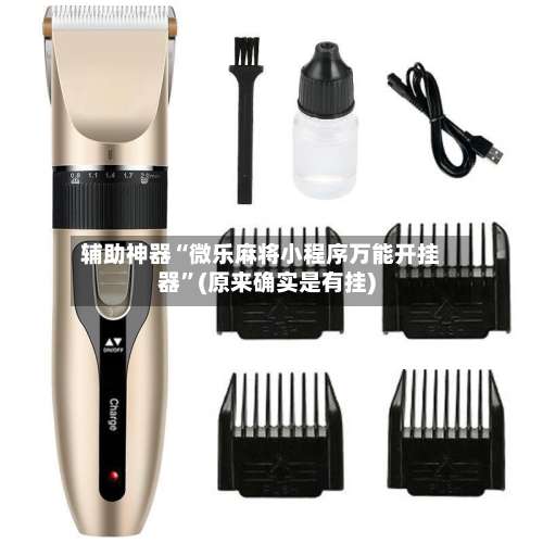 辅助神器“微乐麻将小程序万能开挂器”(原来确实是有挂)-第3张图片