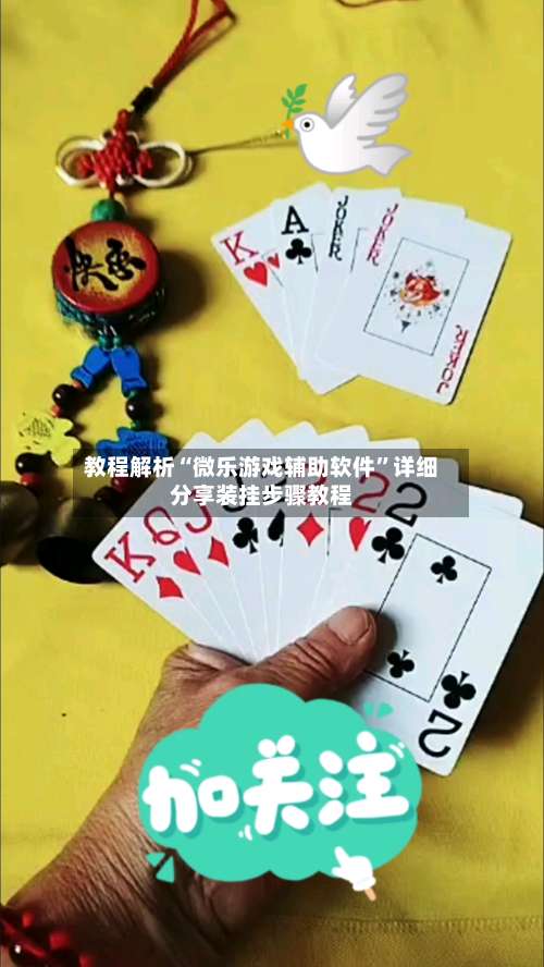 教程解析“微乐游戏辅助软件	”详细分享装挂步骤教程-第2张图片