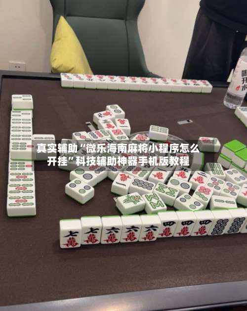 真实辅助“微乐海南麻将小程序怎么开挂”科技辅助神器手机版教程-第1张图片