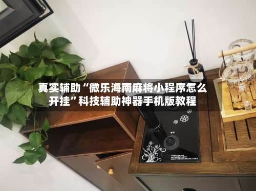 真实辅助“微乐海南麻将小程序怎么开挂	”科技辅助神器手机版教程-第2张图片