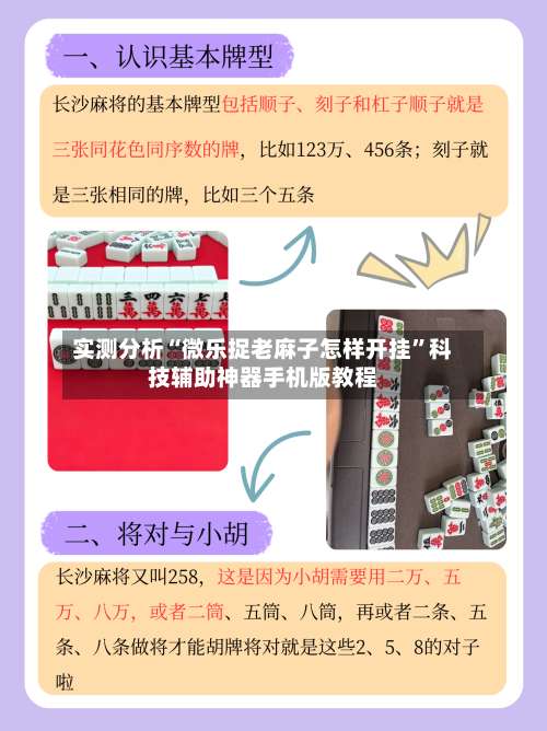 实测分析“微乐捉老麻子怎样开挂”科技辅助神器手机版教程-第1张图片