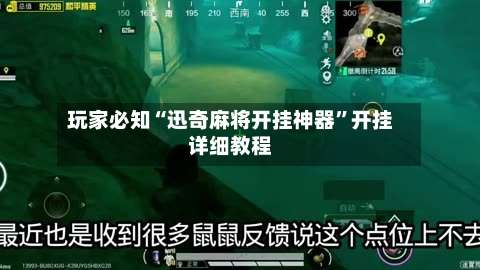 玩家必知“迅奇麻将开挂神器”开挂详细教程-第2张图片