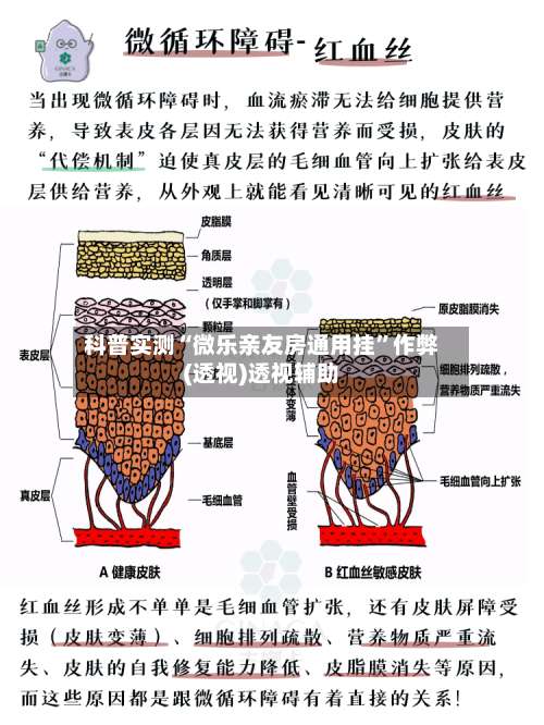 科普实测“微乐亲友房通用挂	”作弊(透视)透视辅助-第2张图片