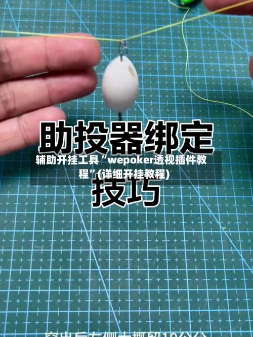 辅助开挂工具“wepoker透视插件教程”(详细开挂教程)-第3张图片