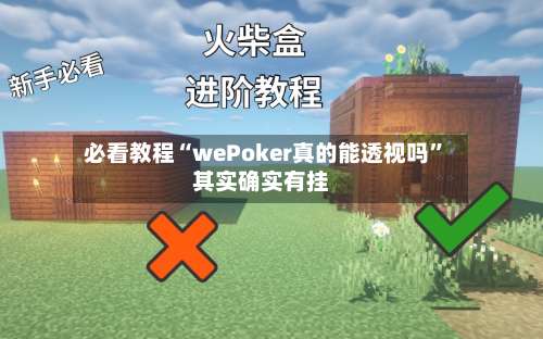 必看教程“wePoker真的能透视吗”其实确实有挂-第2张图片