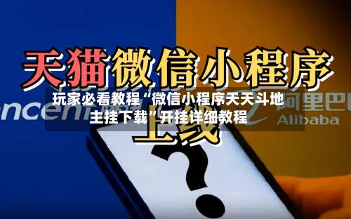 玩家必看教程“微信小程序天天斗地主挂下载”开挂详细教程-第2张图片
