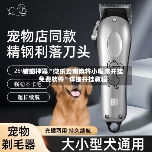 辅助神器“微乐云南麻将小程序开挂免费软件”详细开挂教程-第1张图片