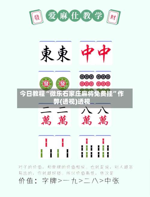 今日教程“微乐石家庄麻将免费挂”作弊(透视)透视-第1张图片