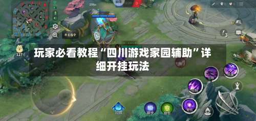 玩家必看教程“四川游戏家园辅助	”详细开挂玩法-第3张图片