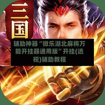 辅助神器“微乐湖北麻将万能开挂器通用版	”开挂(透视)辅助教程-第2张图片