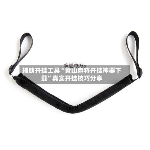 辅助开挂工具“黄山麻将开挂神器下载	”真实开挂技巧分享-第1张图片