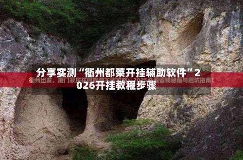 分享实测“衢州都莱开挂辅助软件”2026开挂教程步骤-第1张图片