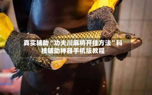 真实辅助“功夫川麻将开挂方法”科技辅助神器手机版教程-第2张图片