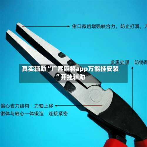 真实辅助“广客麻将app万能挂安装”开挂辅助-第1张图片