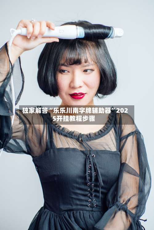 独家解答“乐乐川南字牌辅助器”2025开挂教程步骤-第2张图片