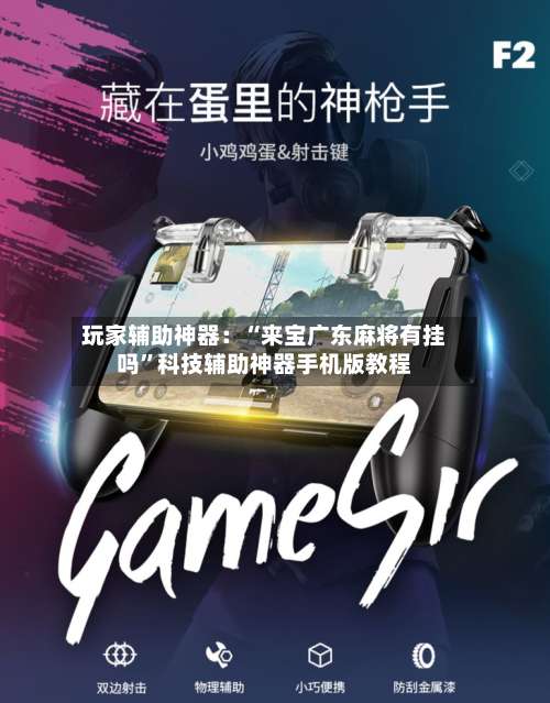 玩家辅助神器：“来宝广东麻将有挂吗	”科技辅助神器手机版教程-第1张图片