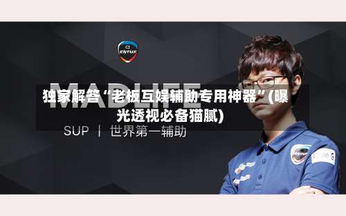 独家解答“老板互娱辅助专用神器”(曝光透视必备猫腻)-第1张图片