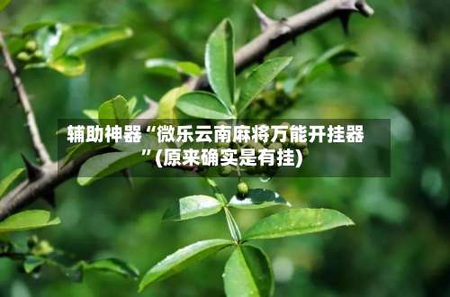 辅助神器“微乐云南麻将万能开挂器”(原来确实是有挂)-第1张图片