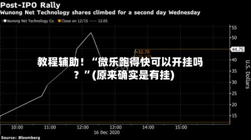 教程辅助！“微乐跑得快可以开挂吗？”(原来确实是有挂)-第2张图片