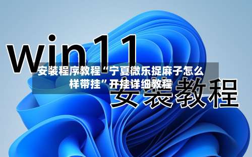 安装程序教程“宁夏微乐捉麻子怎么样带挂”开挂详细教程-第1张图片
