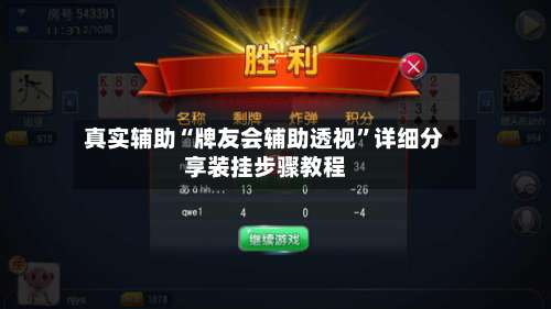 真实辅助“牌友会辅助透视”详细分享装挂步骤教程-第2张图片