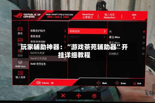 玩家辅助神器：“游戏茶苑辅助器”开挂详细教程-第3张图片