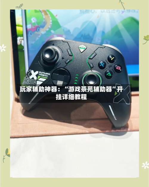 玩家辅助神器：“游戏茶苑辅助器	”开挂详细教程-第2张图片