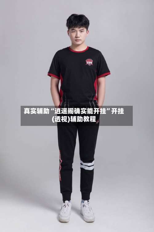 真实辅助“逍遥阁确实能开挂	”开挂(透视)辅助教程-第1张图片