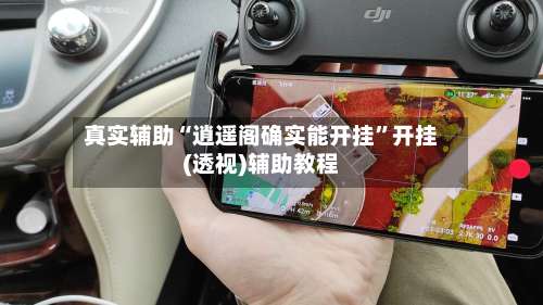 真实辅助“逍遥阁确实能开挂”开挂(透视)辅助教程-第3张图片