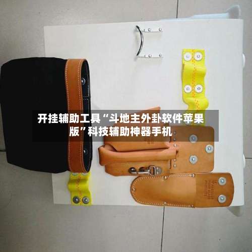 开挂辅助工具“斗地主外卦软件苹果版”科技辅助神器手机-第1张图片