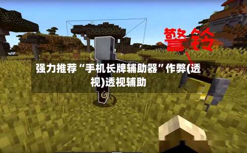 强力推荐“手机长牌辅助器	”作弊(透视)透视辅助-第2张图片