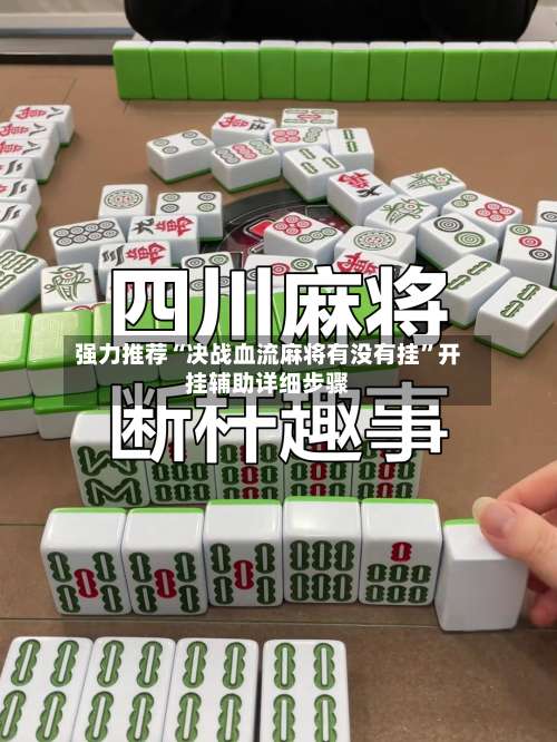 强力推荐“决战血流麻将有没有挂”开挂辅助详细步骤-第3张图片