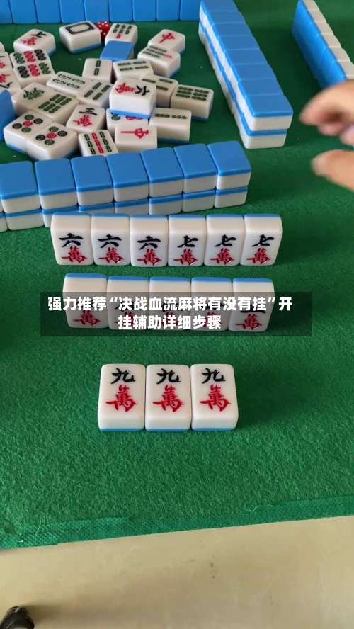 强力推荐“决战血流麻将有没有挂”开挂辅助详细步骤-第1张图片