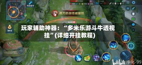 玩家辅助神器：“多米乐游斗牛透视挂”(详细开挂教程)-第2张图片