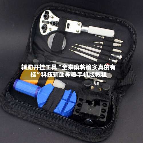 辅助开挂工具“全来麻将确实真的有挂”科技辅助神器手机版教程-第2张图片