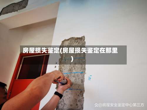 房屋损失鉴定(房屋损失鉴定在那里)-第2张图片
