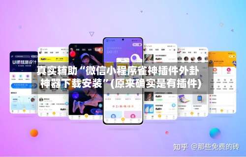 真实辅助“微信小程序雀神插件外卦神器下载安装	”(原来确实是有插件)-第1张图片