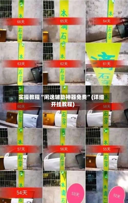 实操教程“闲逸辅助神器免费”(详细开挂教程)-第2张图片