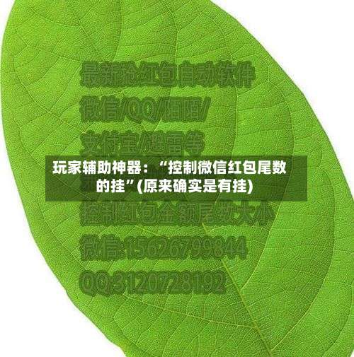玩家辅助神器：“控制微信红包尾数的挂”(原来确实是有挂)-第1张图片