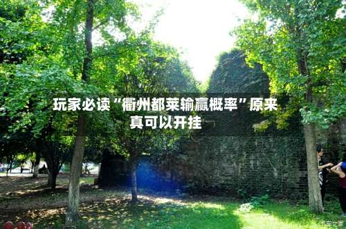 玩家必读“衢州都莱输赢概率”原来真可以开挂-第2张图片